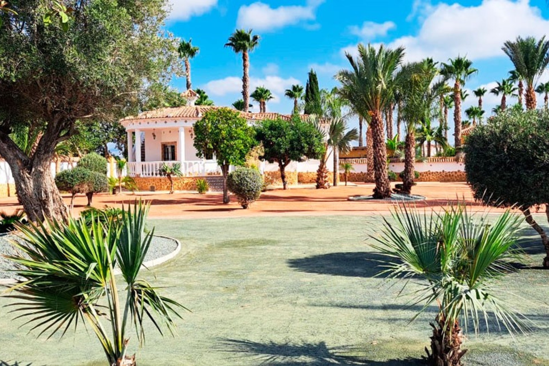 Resale - Country Property/Finca - Catral - Catral - Country