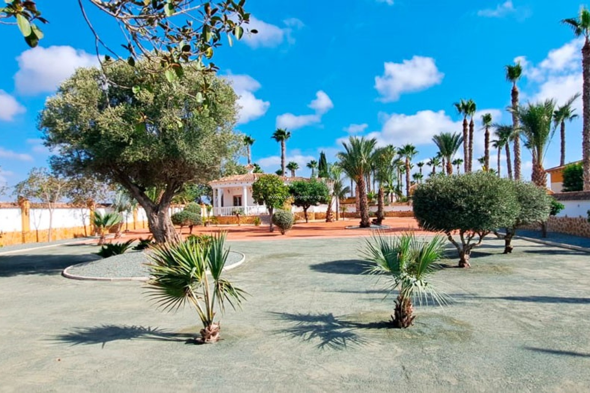 Resale - Country Property/Finca - Catral - Catral - Country