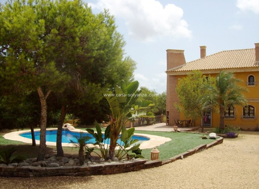 Resale - Country Property/Finca - Ciudad Quesada - Lo Pepin