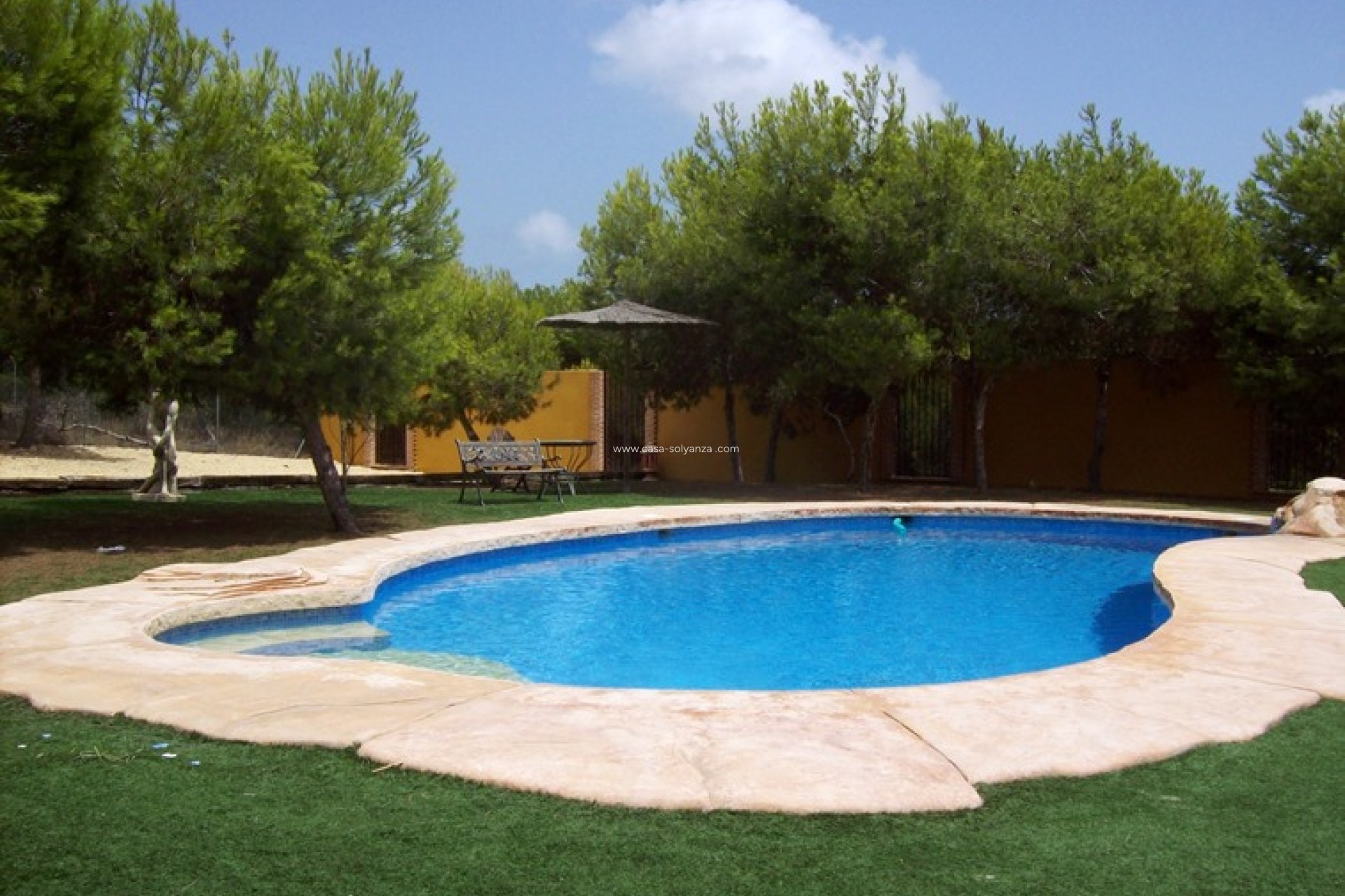 Resale - Country Property/Finca - Ciudad Quesada - Lo Pepin