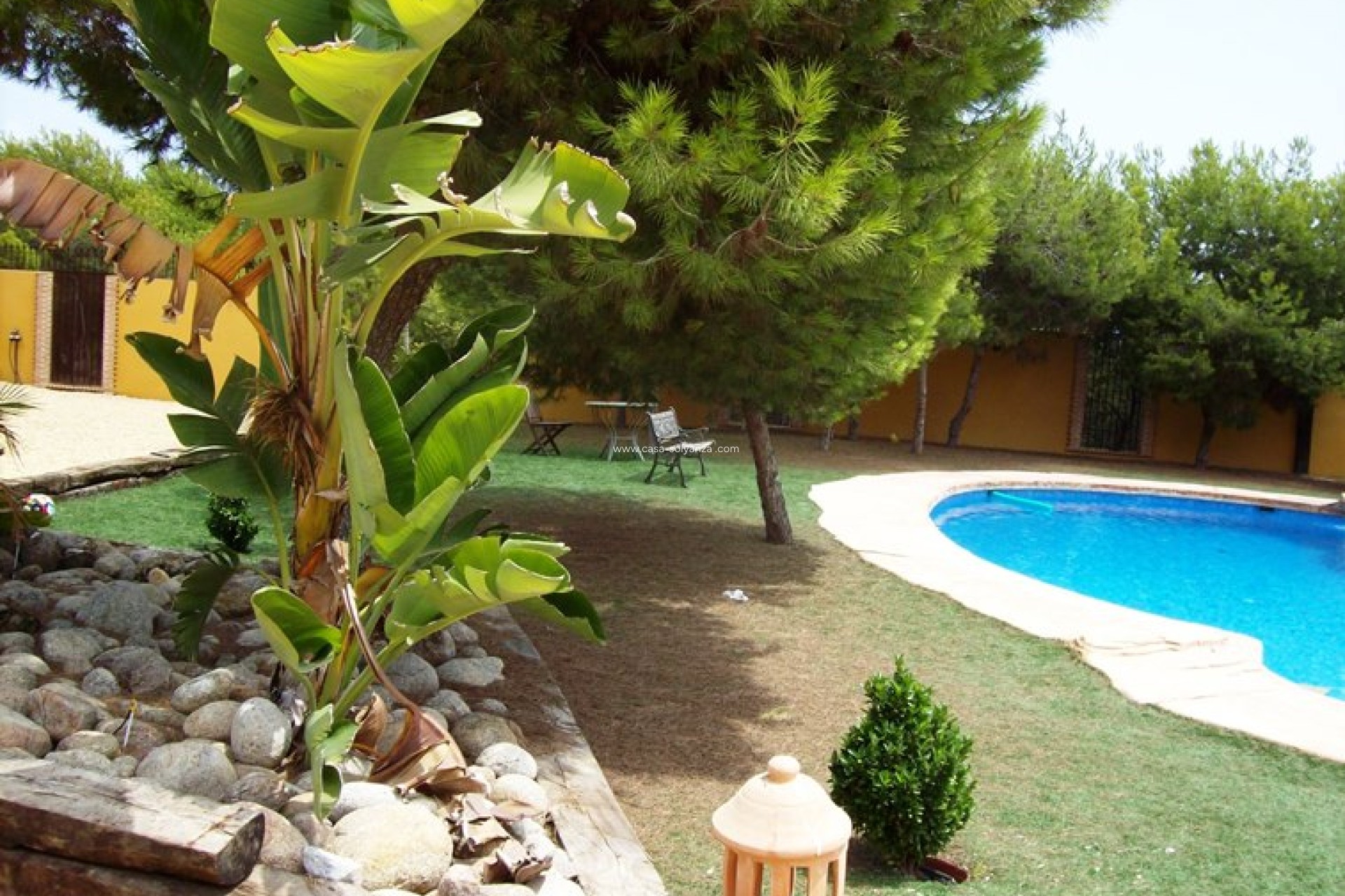 Resale - Country Property/Finca - Ciudad Quesada - Lo Pepin