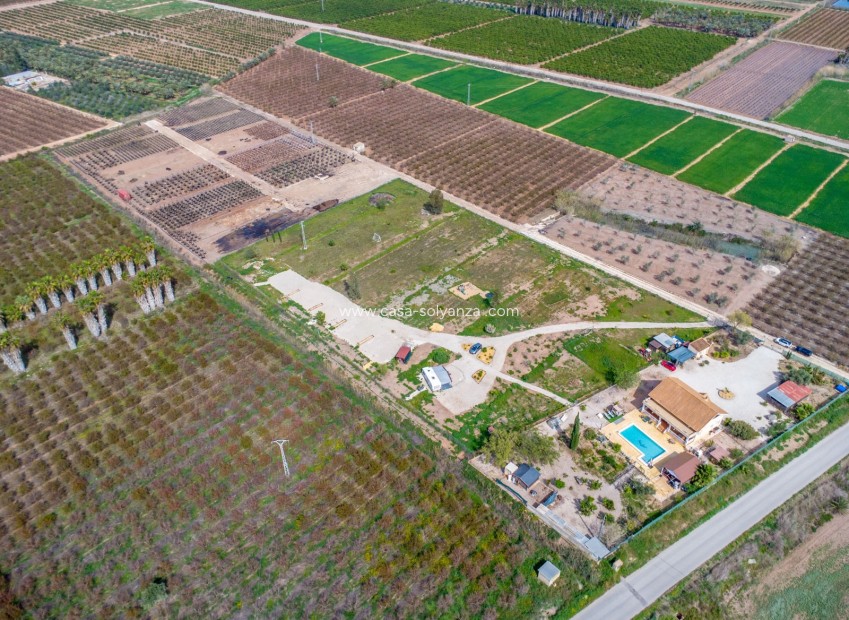 Resale - Country Property/Finca - Crevillente - Crevillent