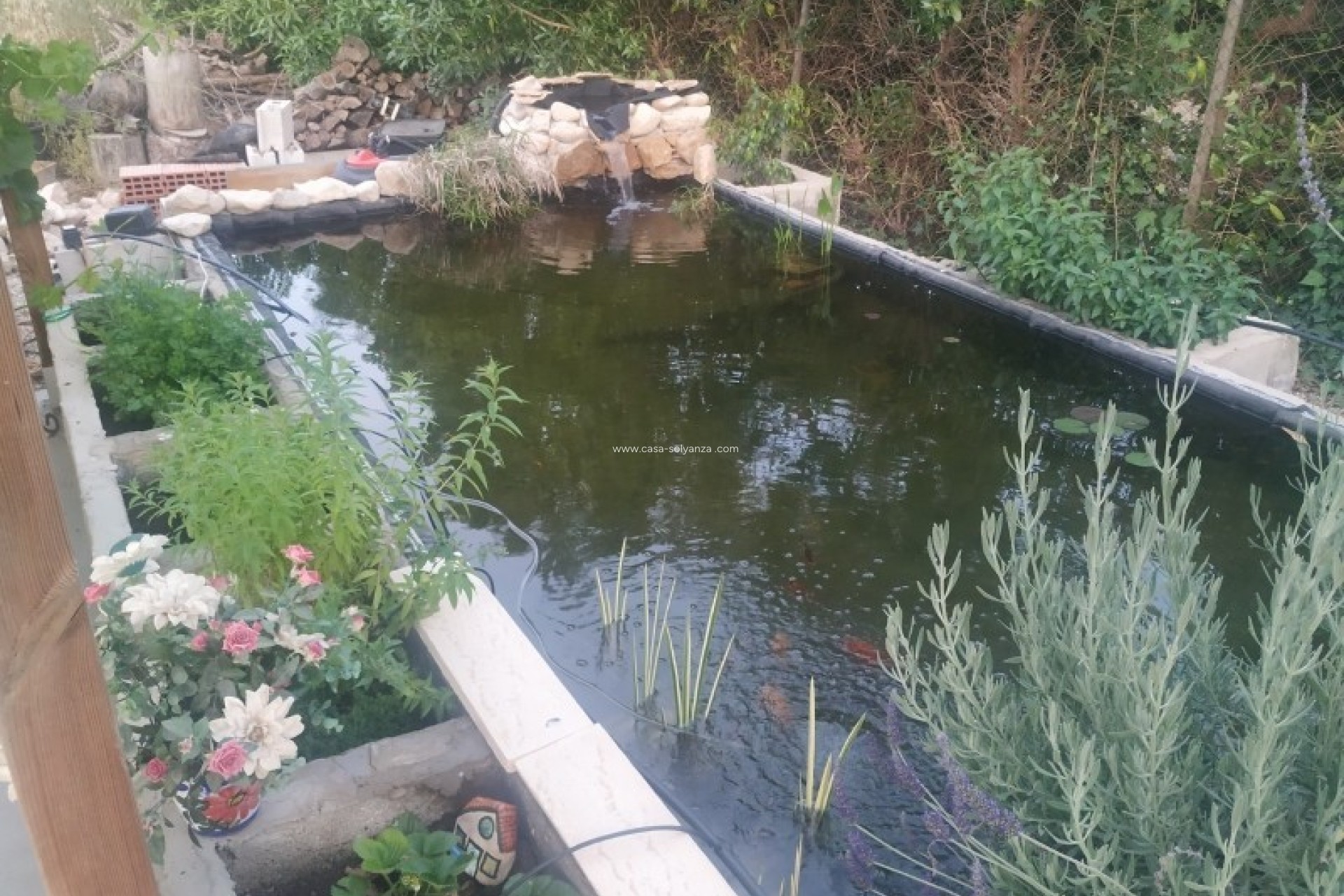 Resale - Country Property/Finca - Crevillente - Inland
