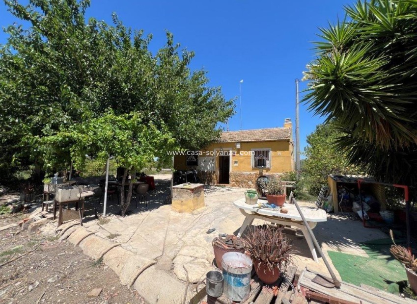 Resale - Country Property/Finca - Daya Nueva - almoradi