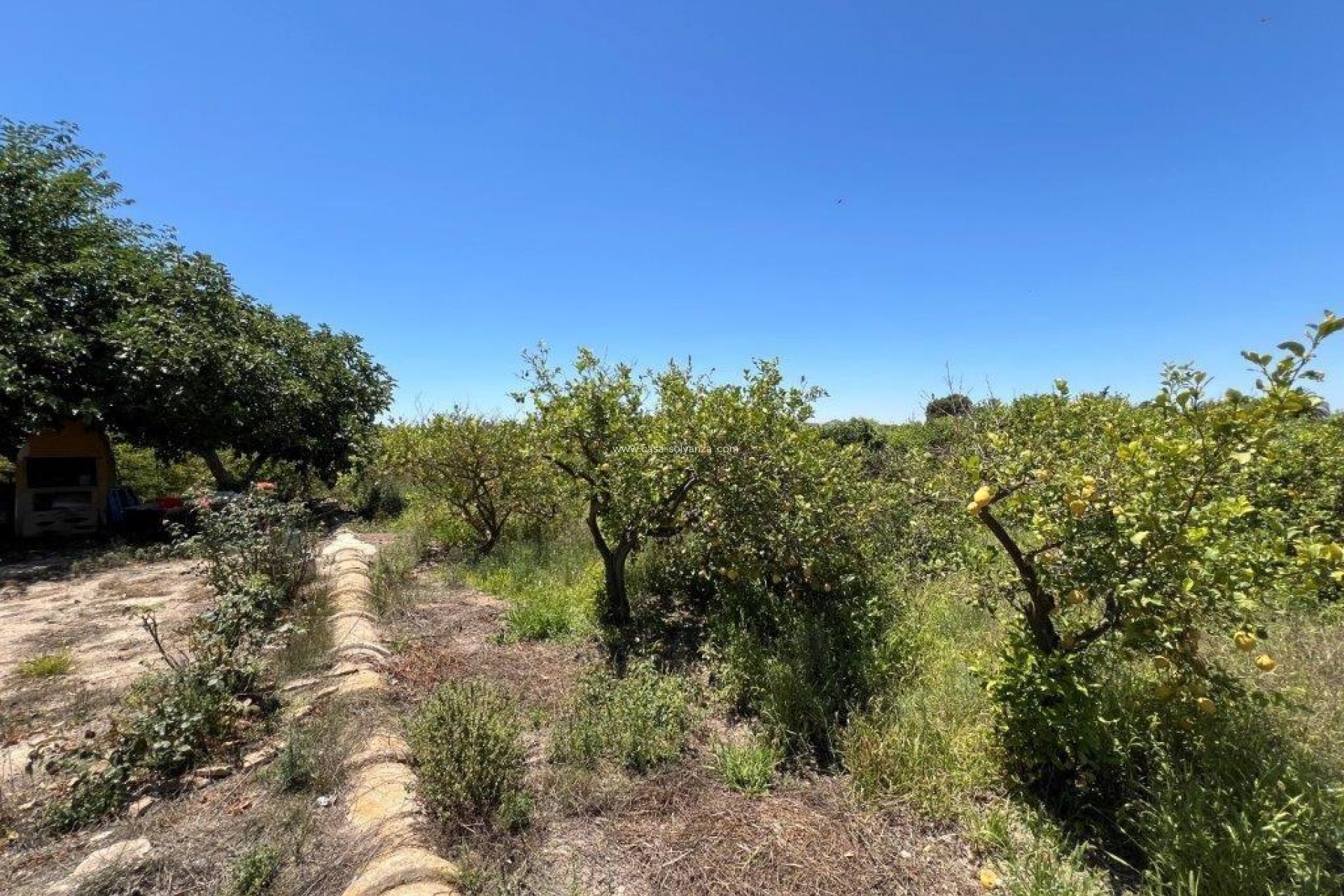 Resale - Country Property/Finca - Daya Nueva - almoradi