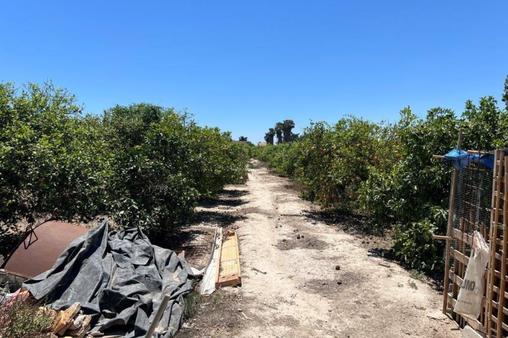 Resale - Country Property/Finca - Daya Nueva - almoradi