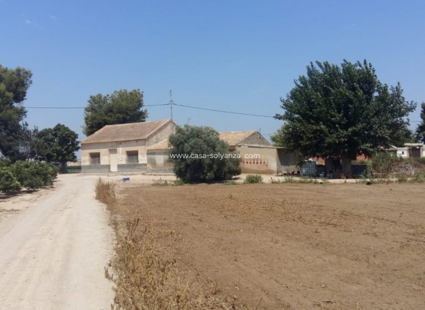 Resale - Country Property/Finca - Daya Nueva - Costa Blanca