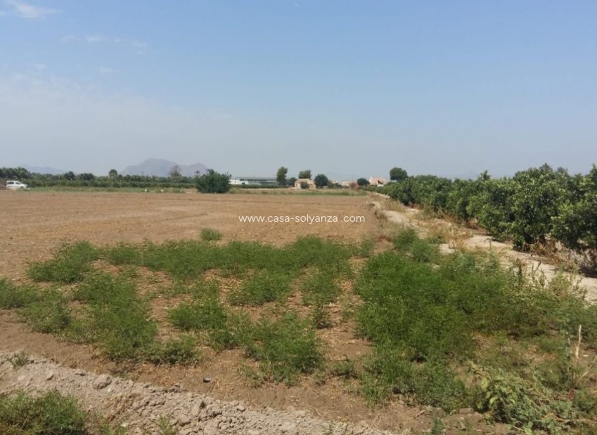 Resale - Country Property/Finca - Daya Nueva - Costa Blanca