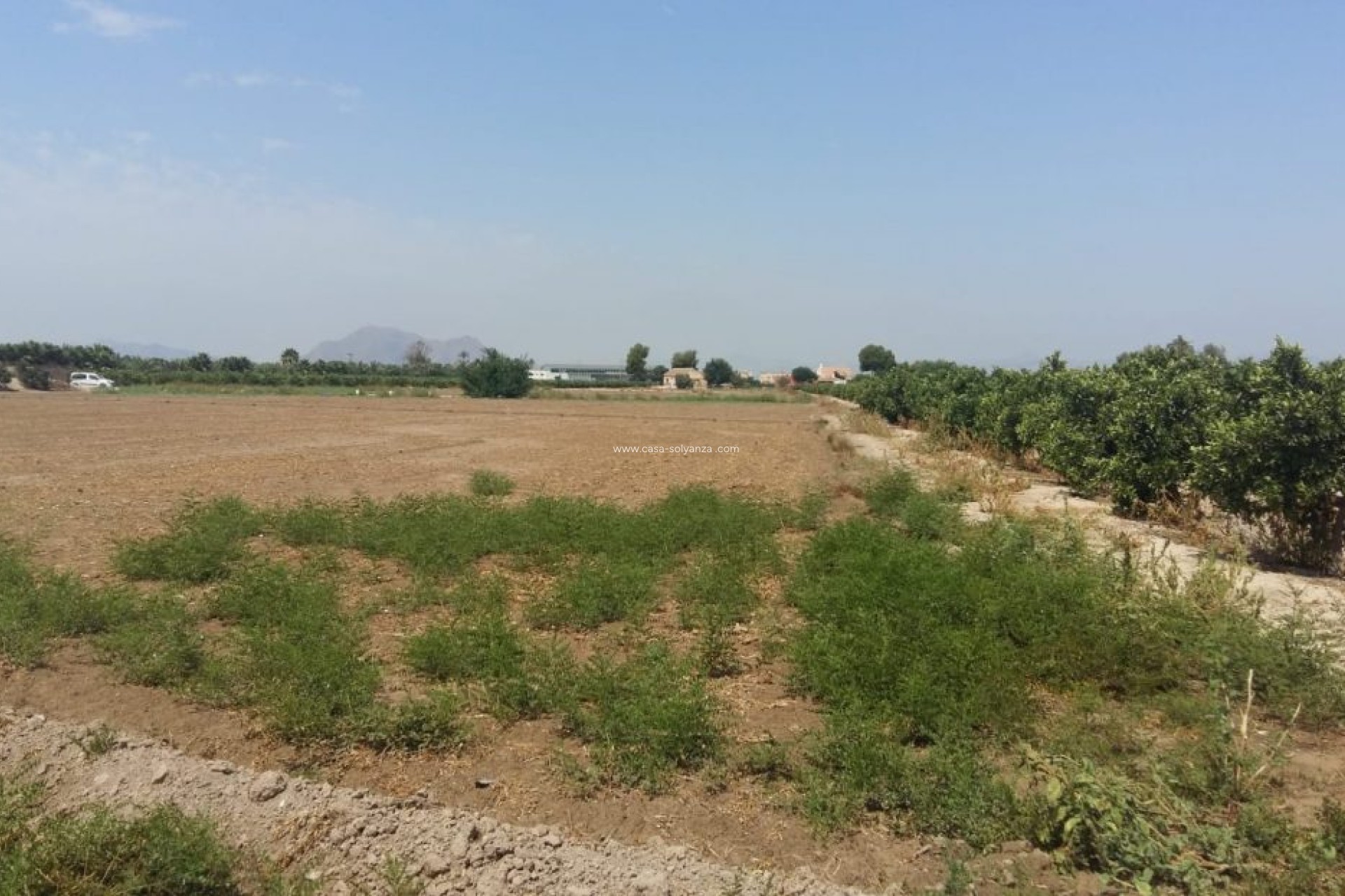 Resale - Country Property/Finca - Daya Nueva - Costa Blanca