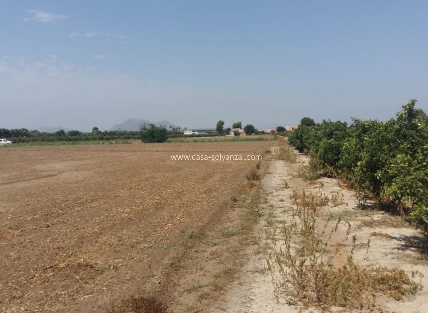 Resale - Country Property/Finca - Daya Nueva - Costa Blanca
