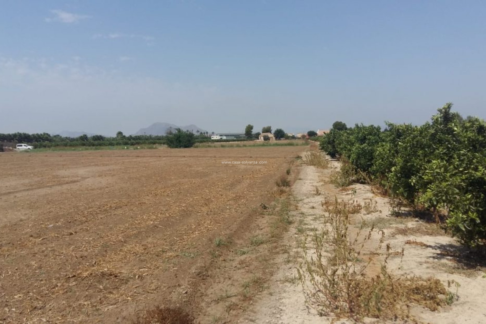 Resale - Country Property/Finca - Daya Nueva - Costa Blanca