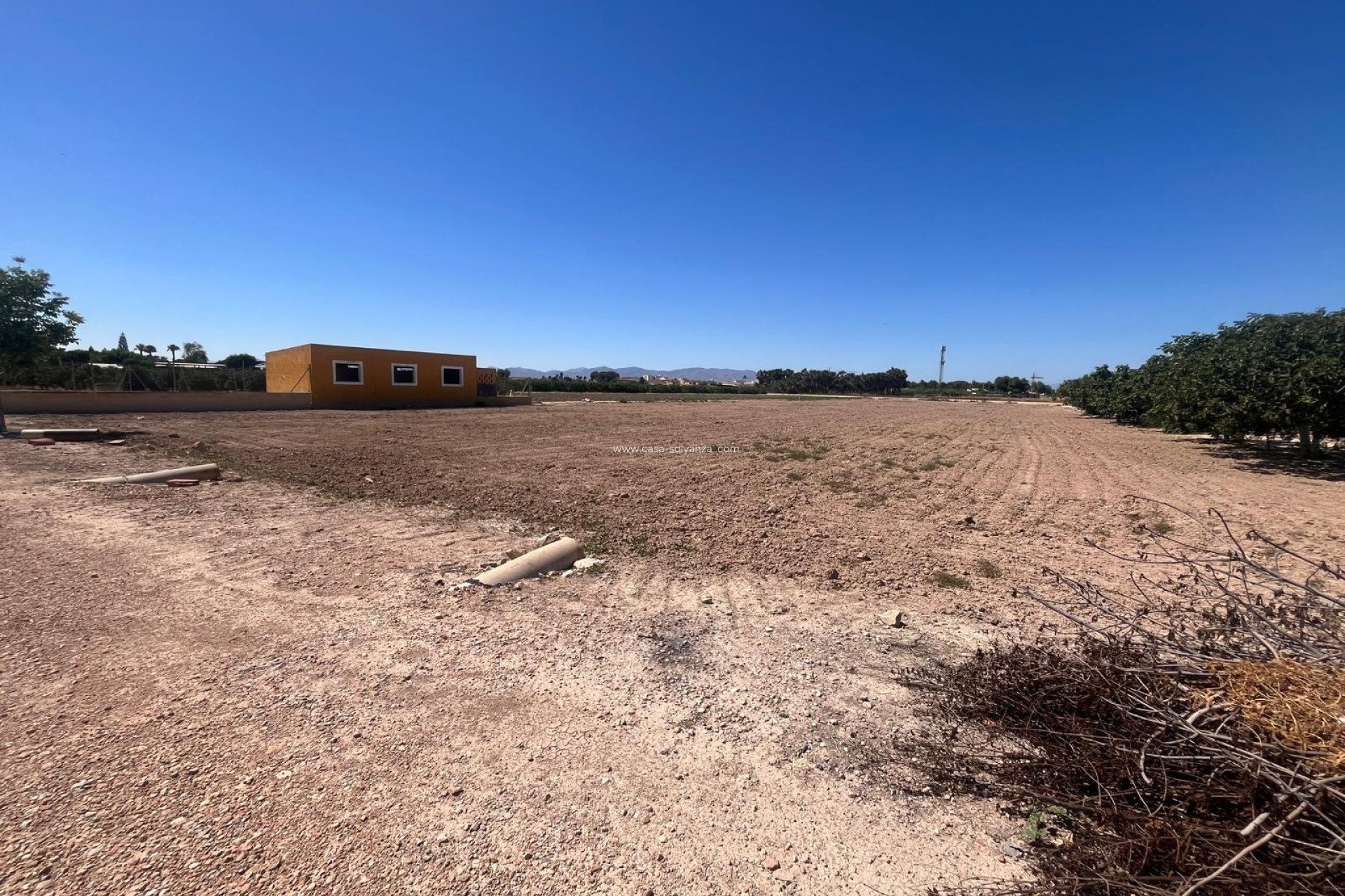 Resale - Country Property/Finca - Daya Nueva - La Bodega