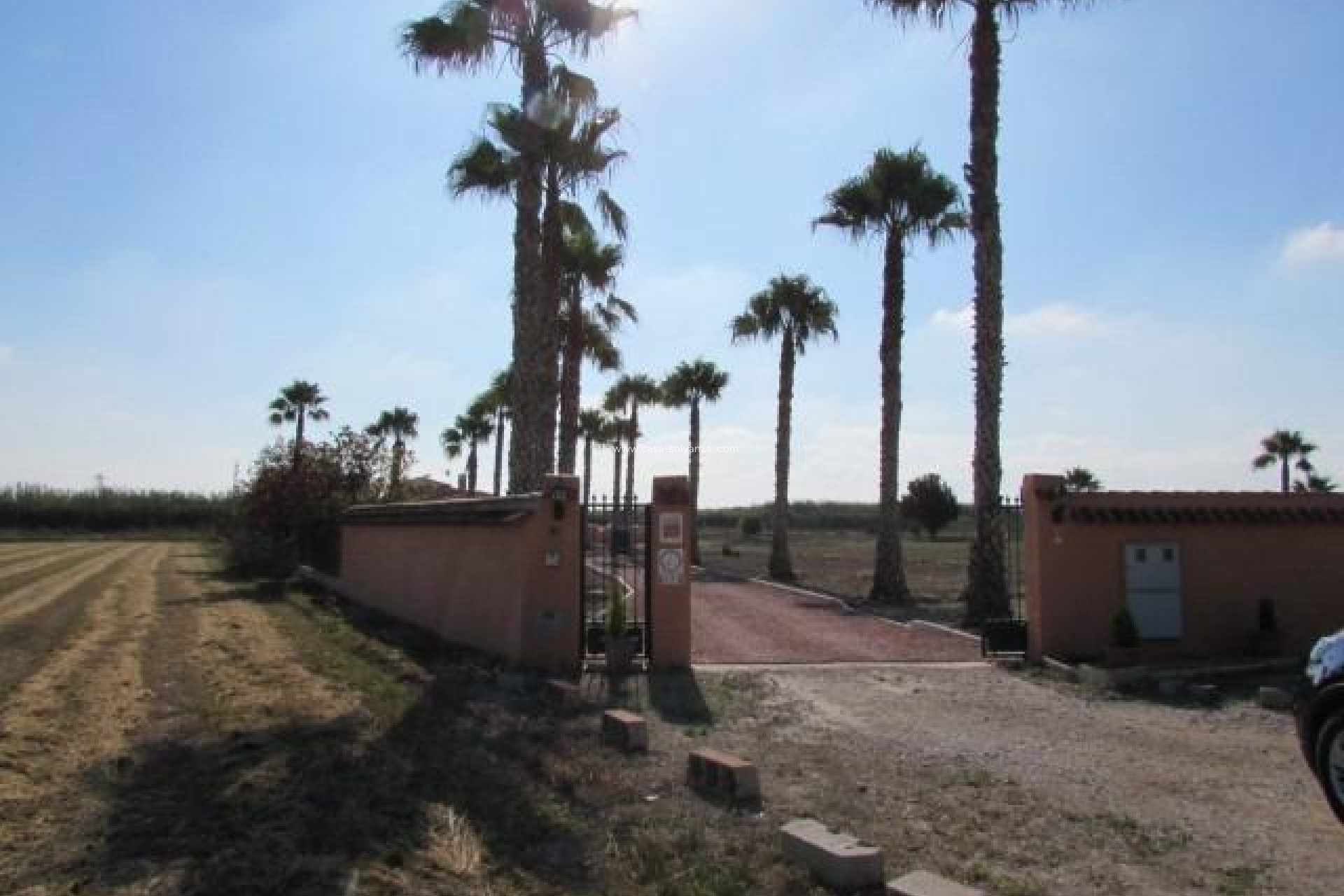 Resale - Country Property/Finca - Dolores - Comunidad Valenciana