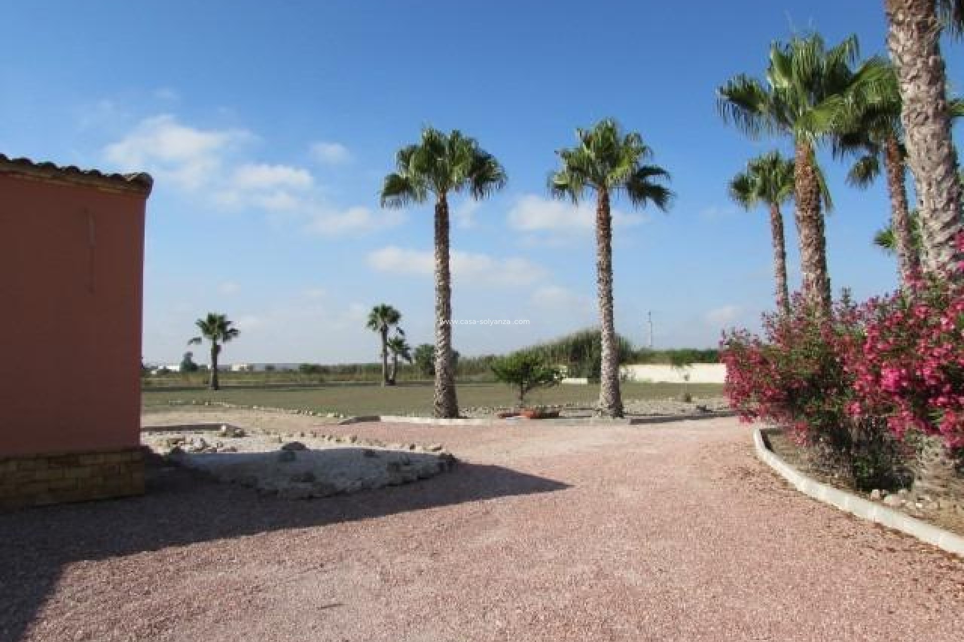 Resale - Country Property/Finca - Dolores - Comunidad Valenciana