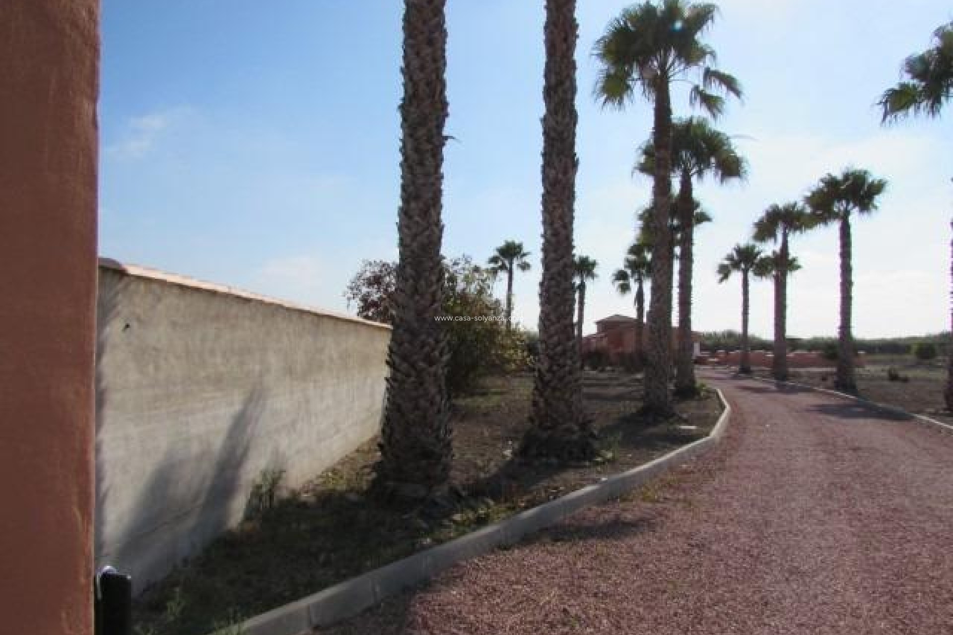 Resale - Country Property/Finca - Dolores - Comunidad Valenciana