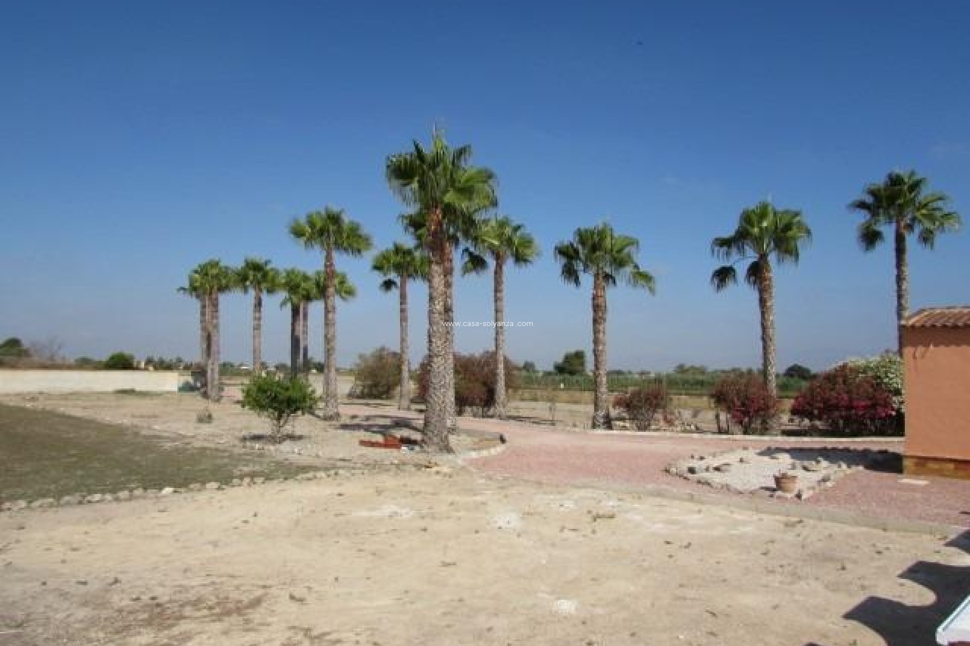 Resale - Country Property/Finca - Dolores - Comunidad Valenciana