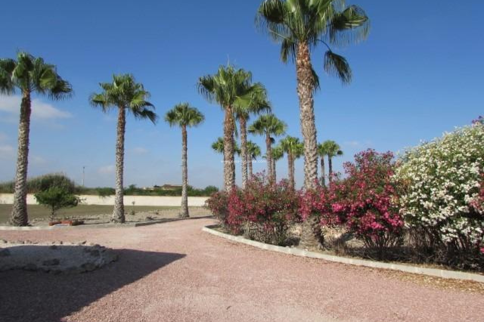 Resale - Country Property/Finca - Dolores - Comunidad Valenciana