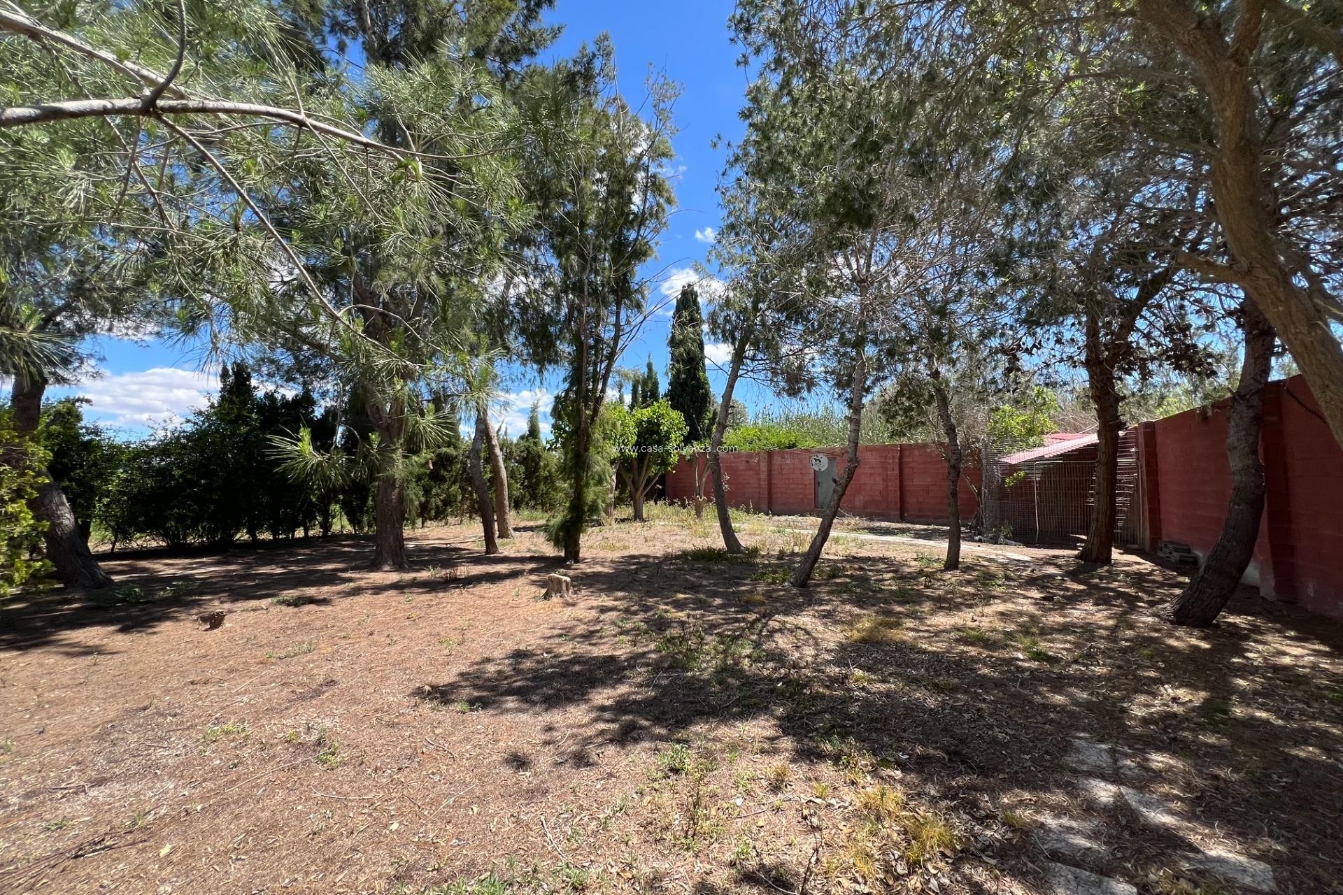 Resale - Country Property/Finca - Dolores - Comunidad Valenciana
