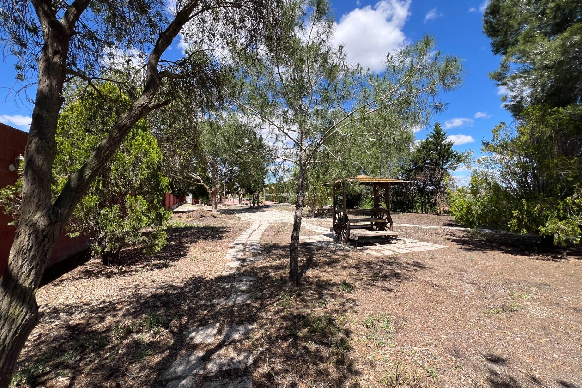 Resale - Country Property/Finca - Dolores - Comunidad Valenciana