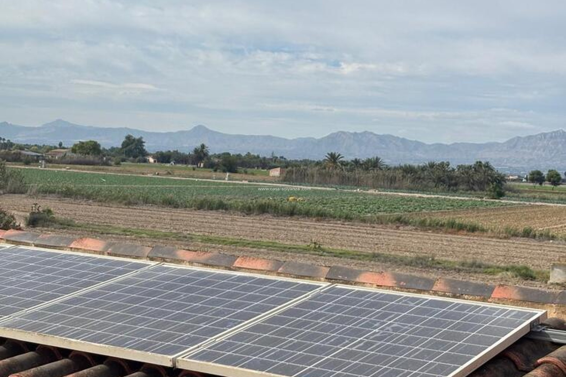 Resale - Country Property/Finca - Dolores - Costa Blanca