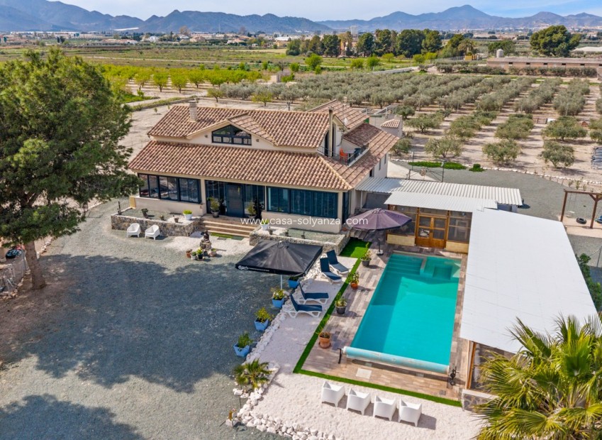 Resale - Country Property/Finca - El Esparragal - Inland