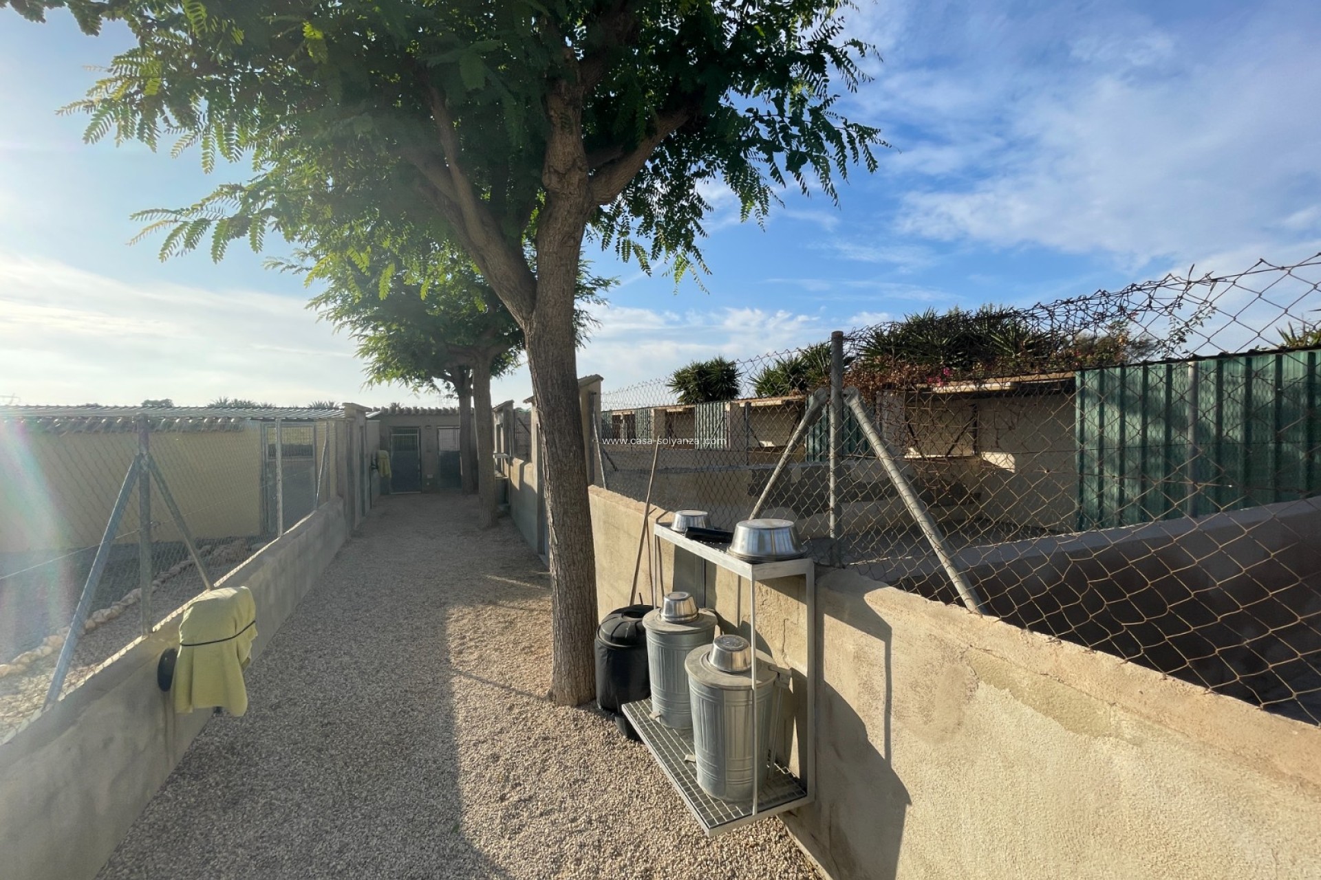 Resale - Country Property/Finca - Elche - Costa Blanca