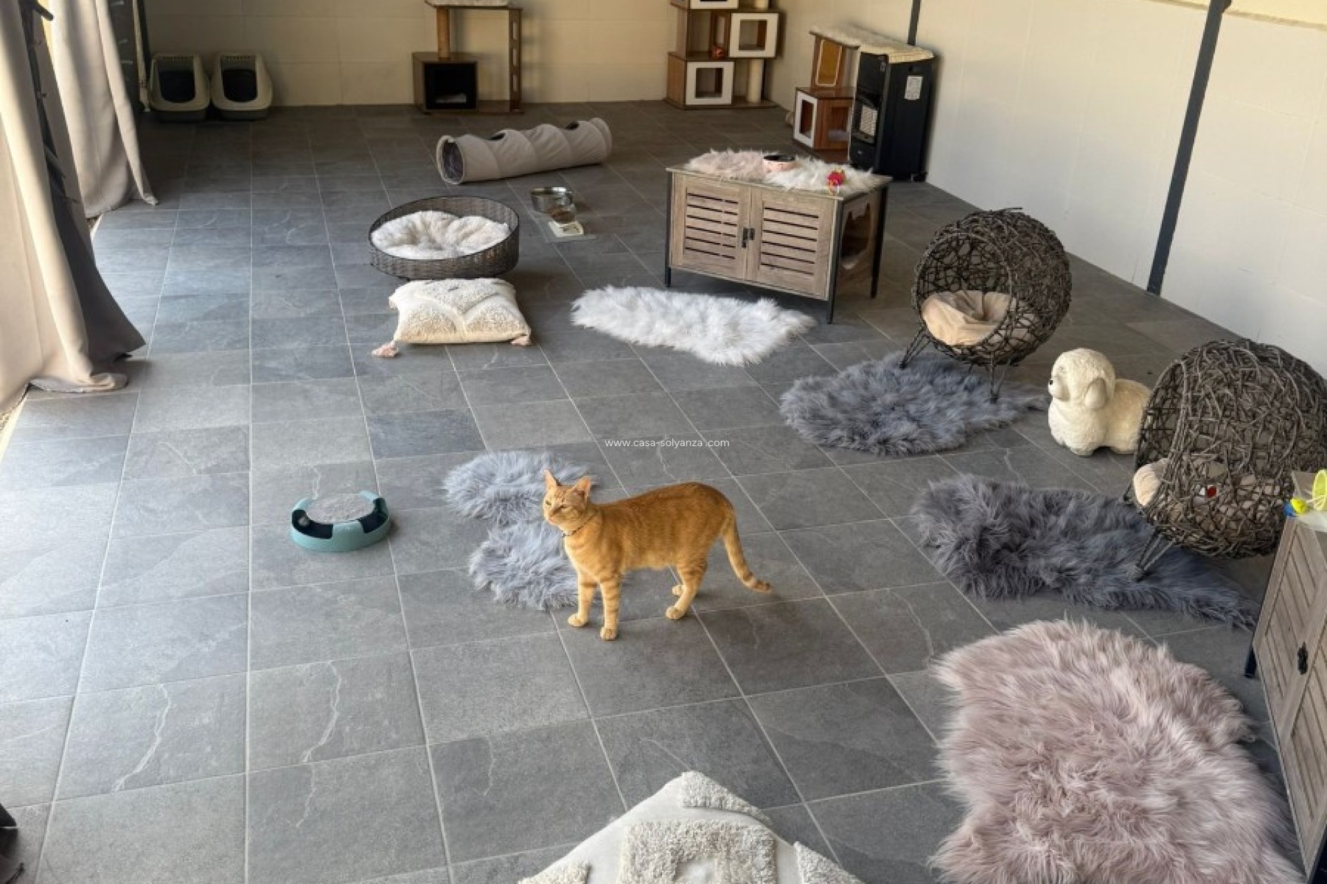 Resale - Country Property/Finca - Elche - Costa Blanca