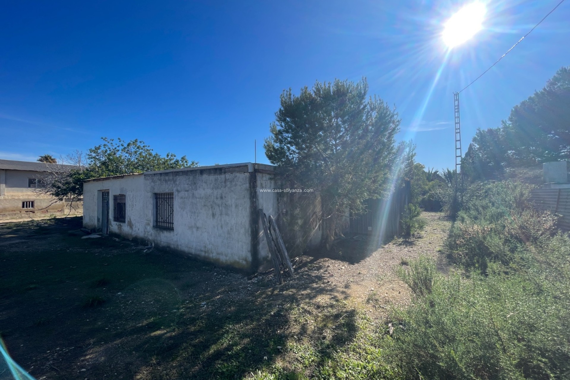 Resale - Country Property/Finca - Elche - Costa Blanca