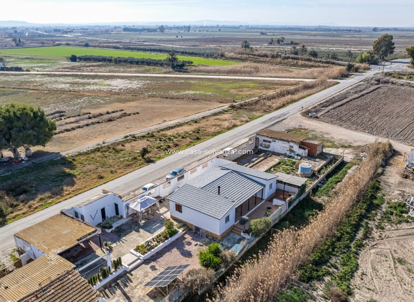 Resale - Country Property/Finca - Elche - Inland