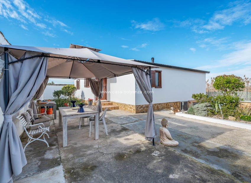 Resale - Country Property/Finca - Elche - Inland