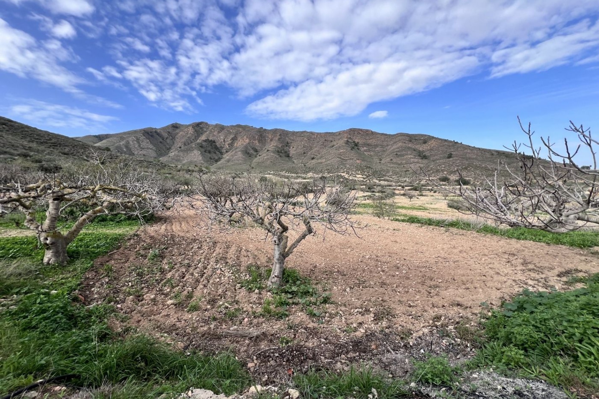 Resale - Country Property/Finca - Fuente Alamo - La Pinilla - Las Palas