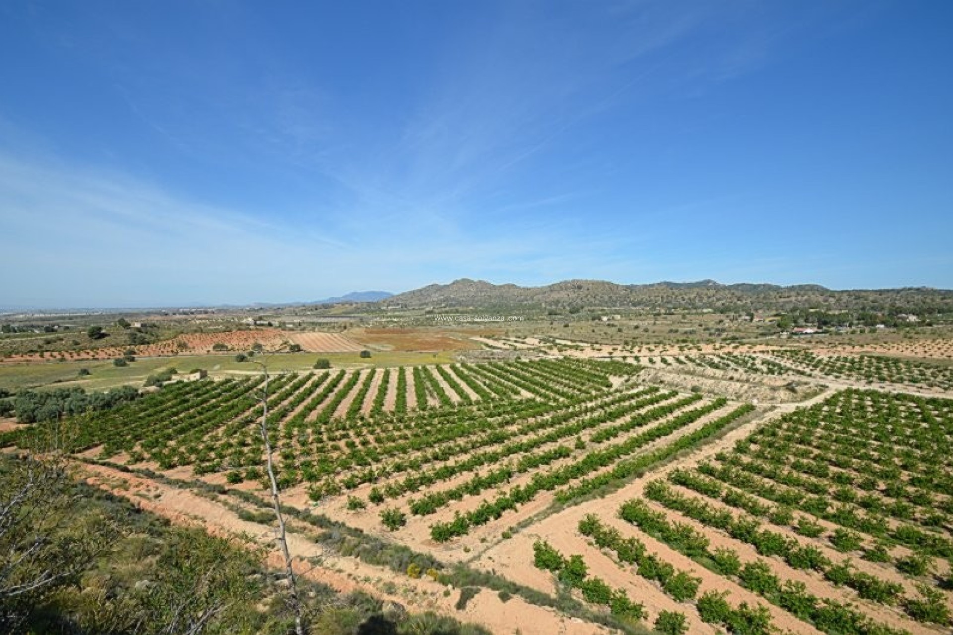 Resale - Country Property/Finca - Gea Y Truyols - Inland