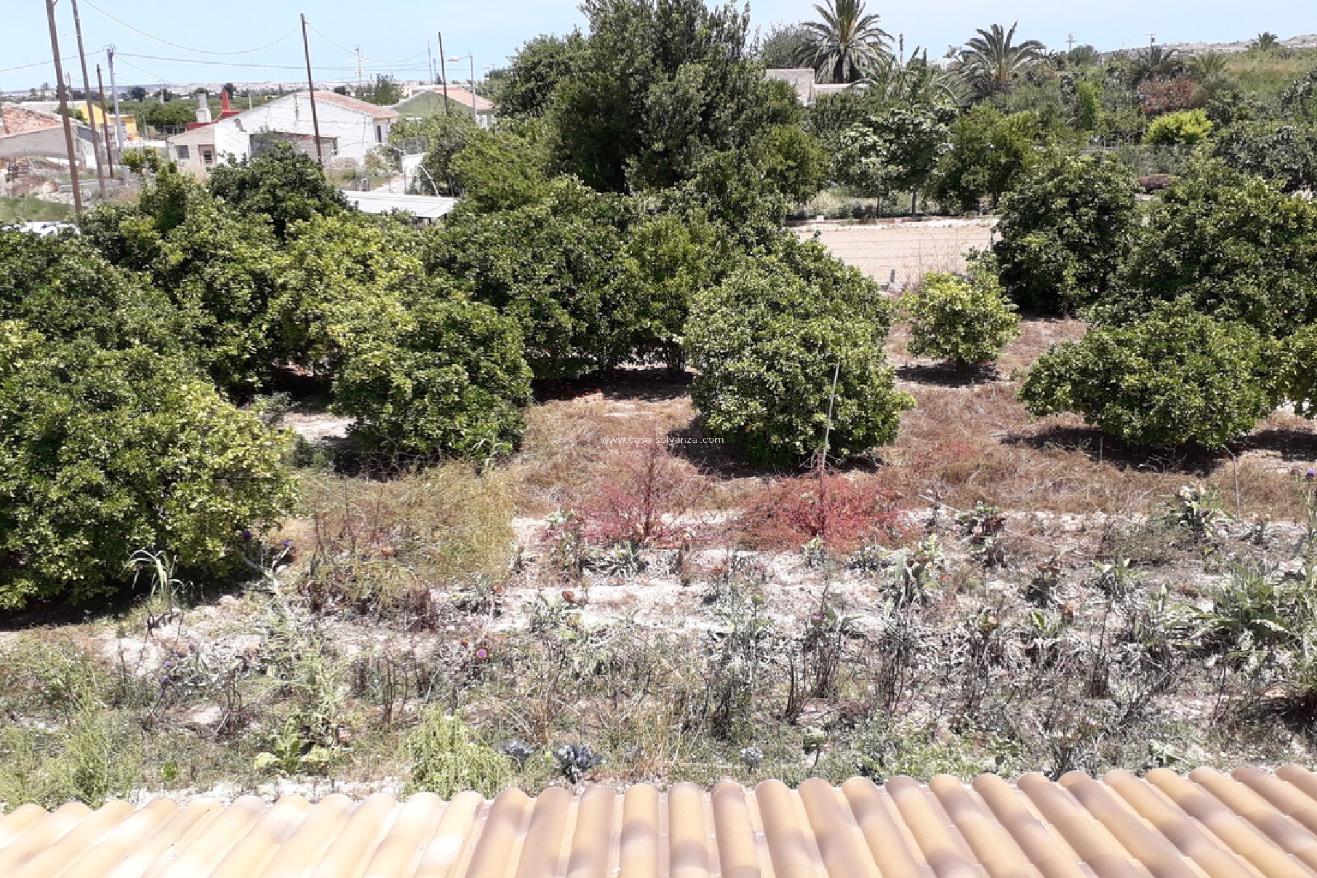 Resale - Country Property/Finca - Heredades - almoradi