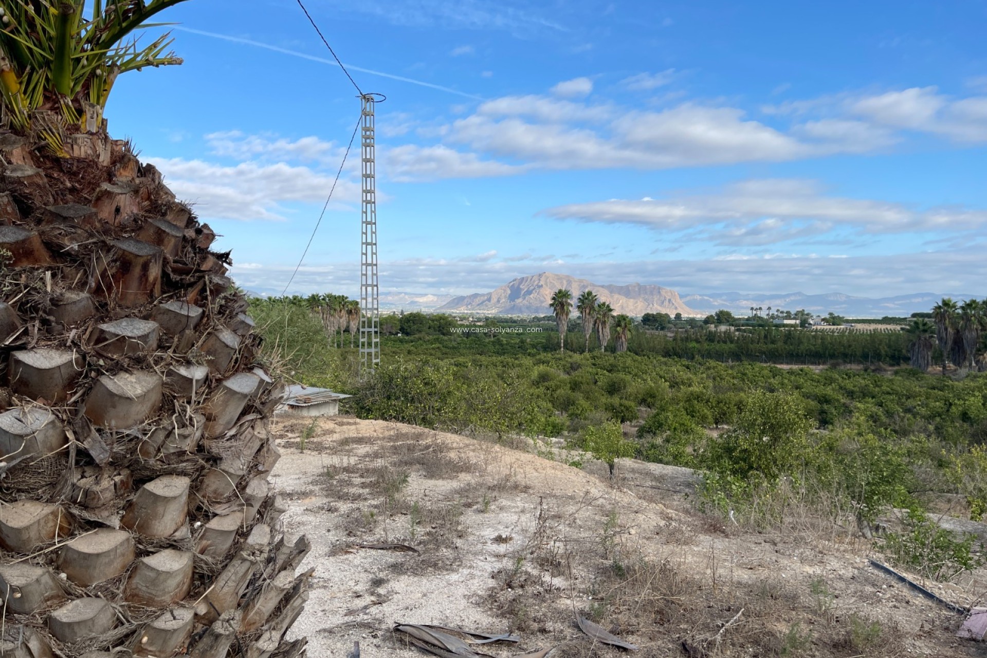 Resale - Country Property/Finca - Jacarilla - Inland