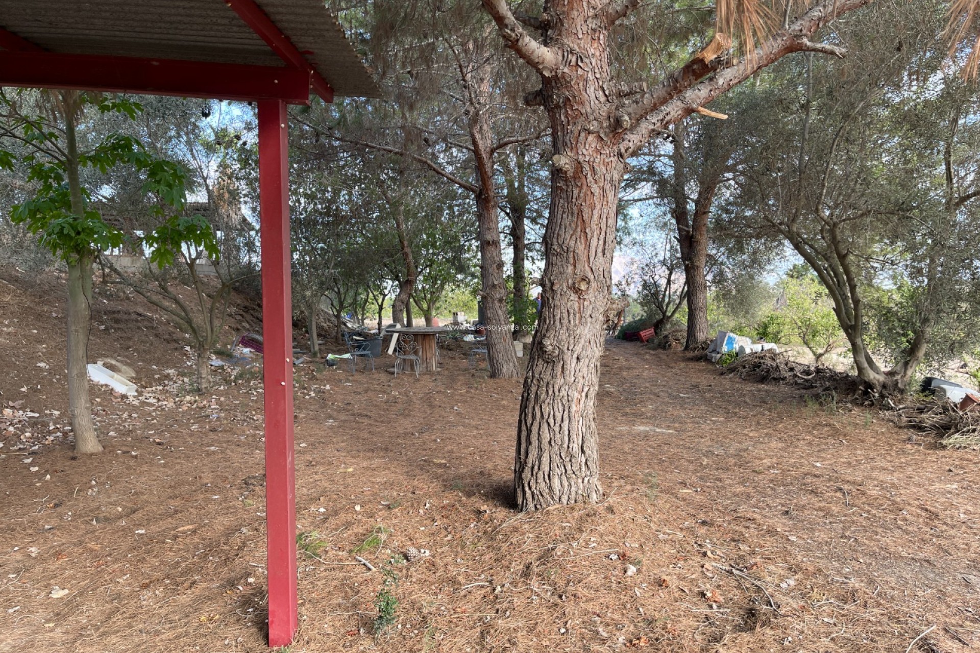 Resale - Country Property/Finca - Jacarilla - Inland