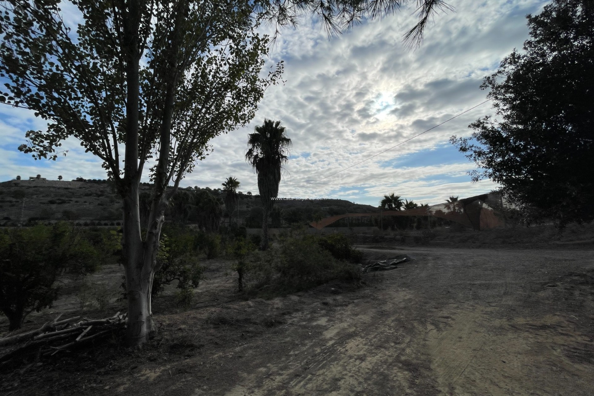 Resale - Country Property/Finca - Jacarilla - Inland