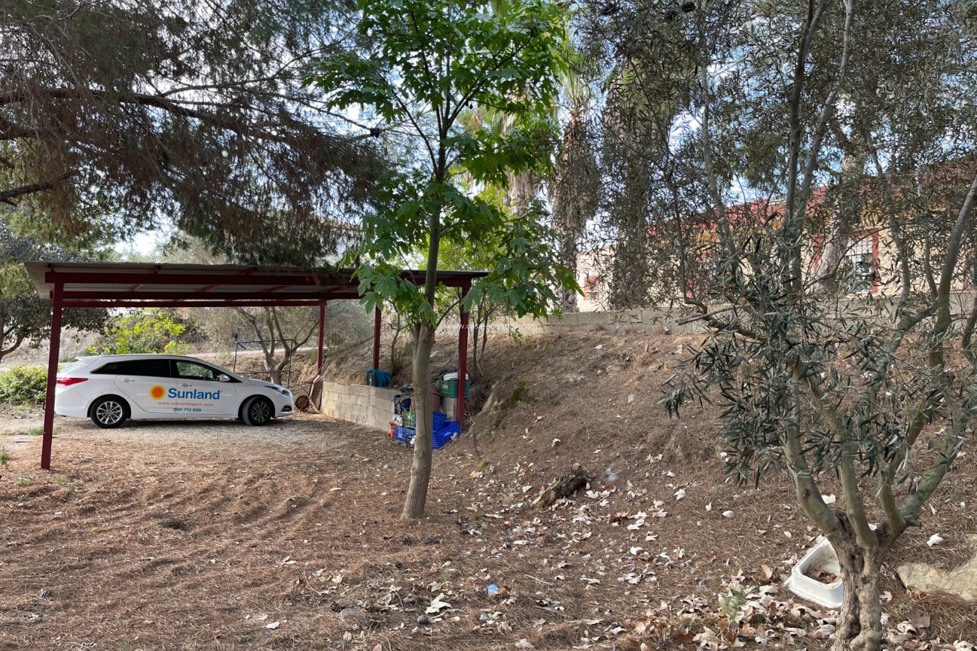 Resale - Country Property/Finca - Jacarilla - Inland