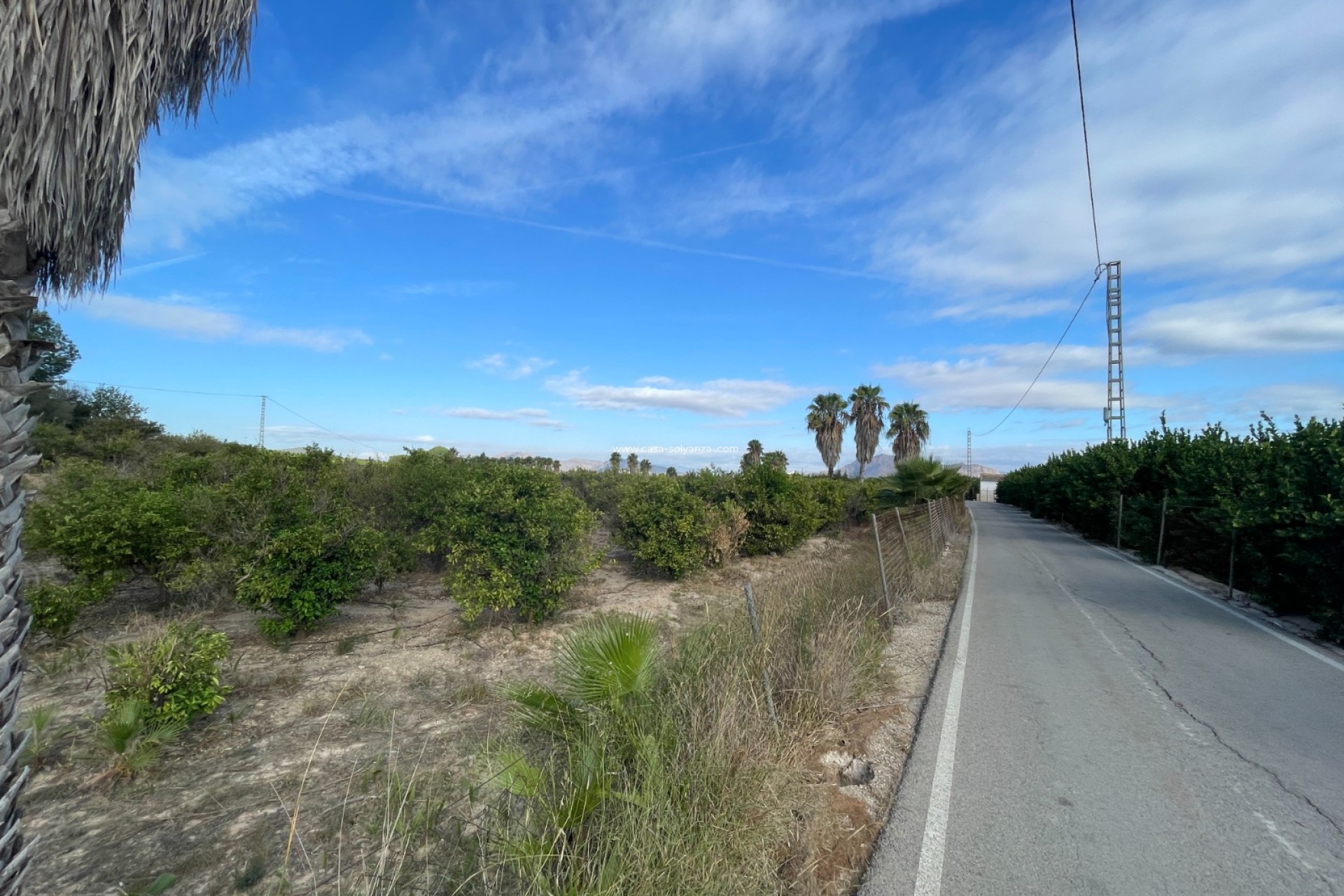 Resale - Country Property/Finca - Jacarilla - Inland