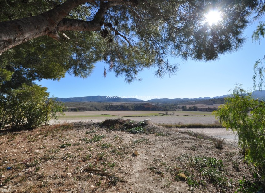 Resale - Country Property/Finca - Jumilla - Inland