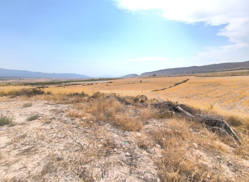 Resale - Country Property/Finca - Jumilla - Inland