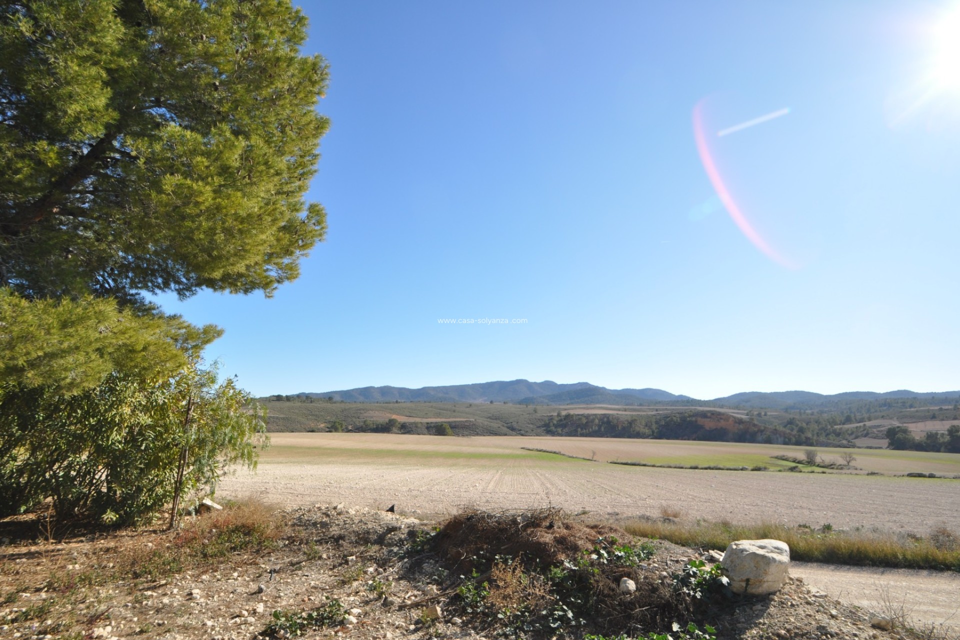 Resale - Country Property/Finca - Jumilla - Inland