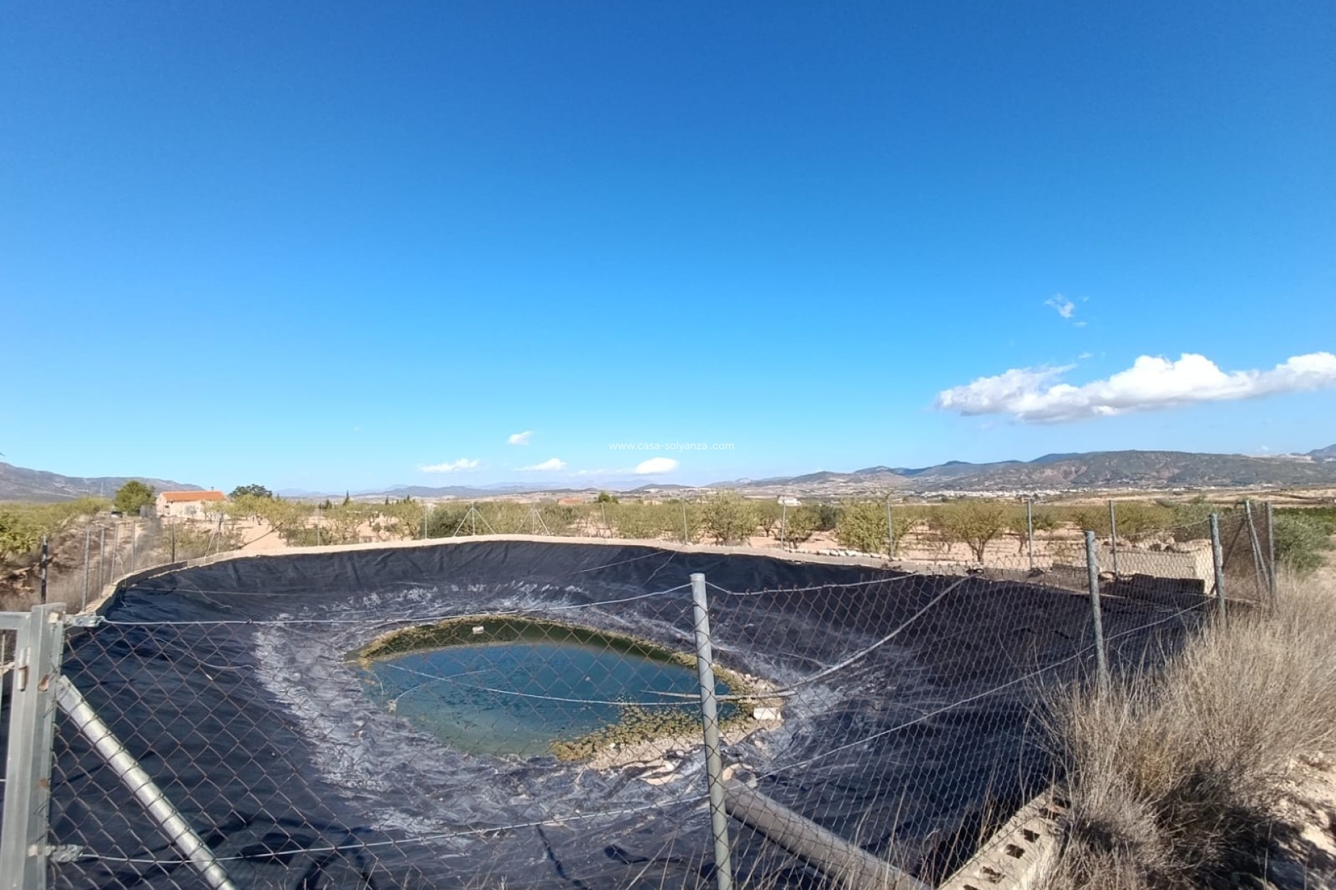 Resale - Country Property/Finca - Jumilla - Inland