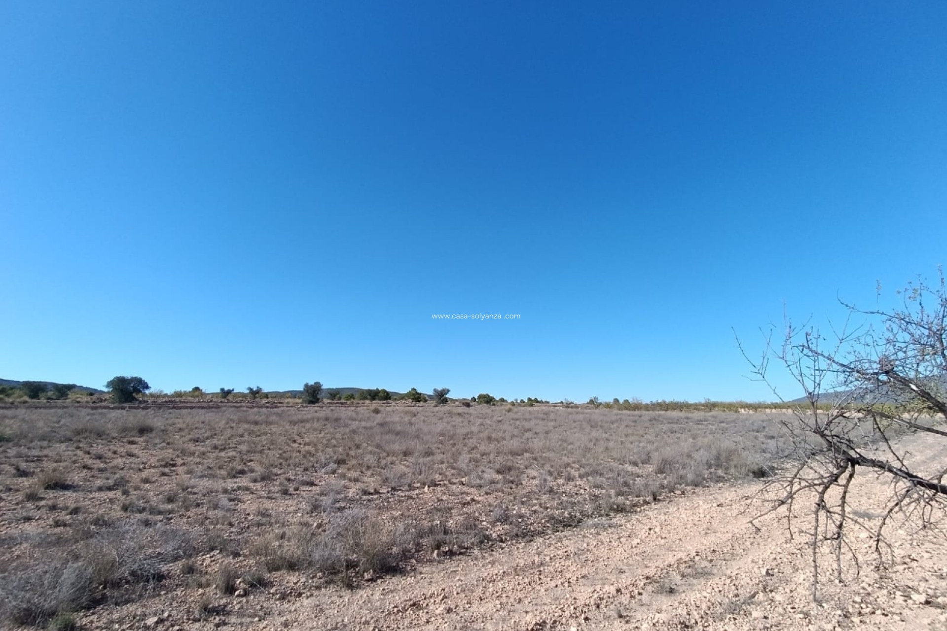 Resale - Country Property/Finca - Jumilla - Inland