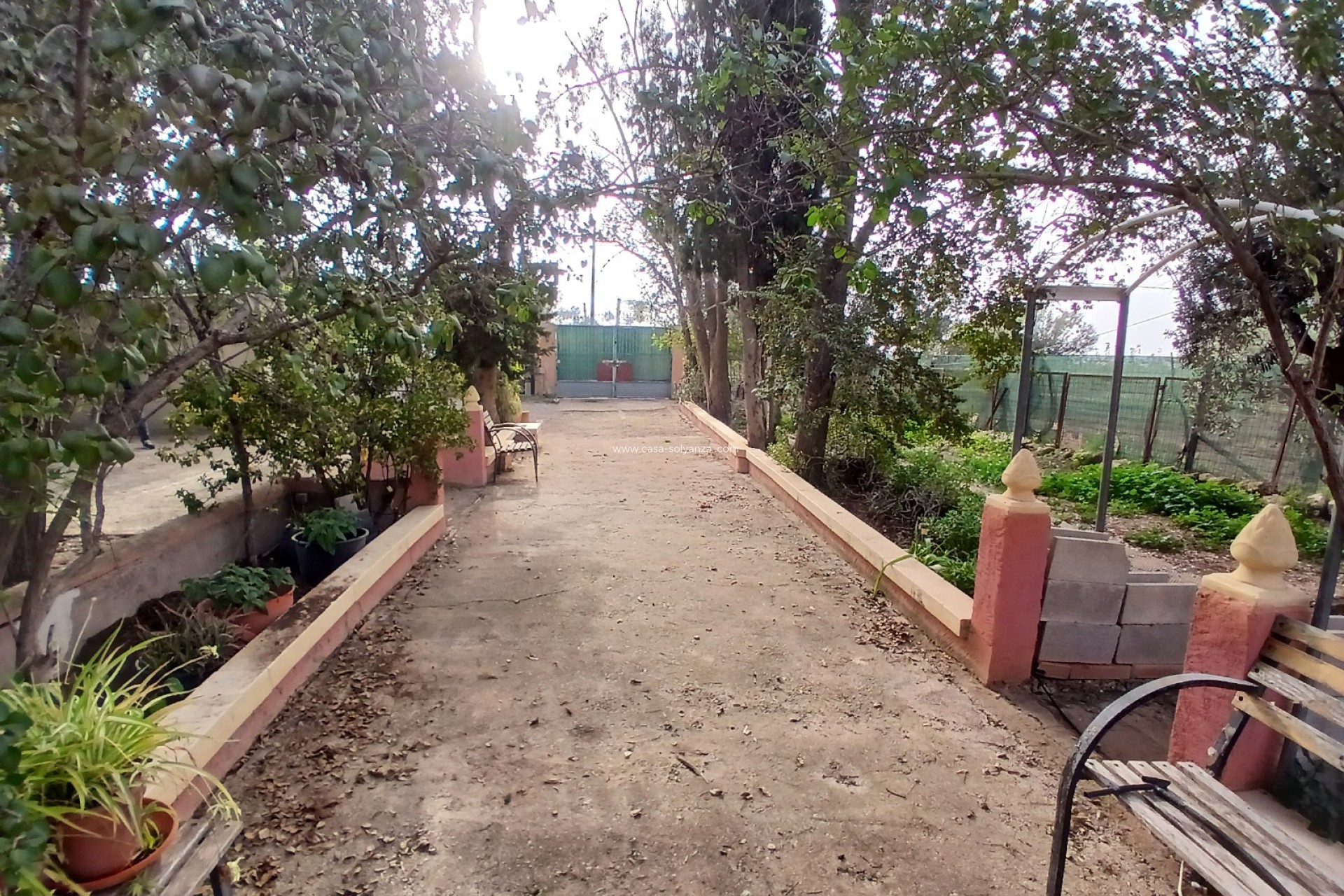 Resale - Country Property/Finca - Jumilla - Inland