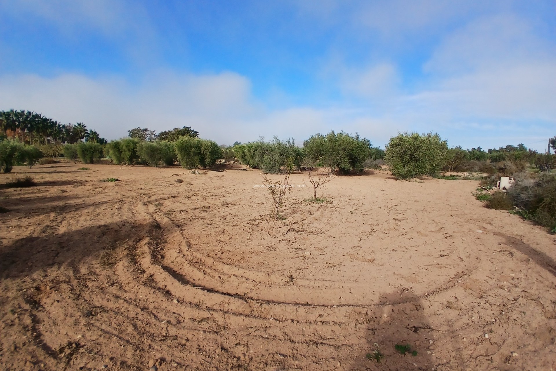Resale - Country Property/Finca - Jumilla - Inland