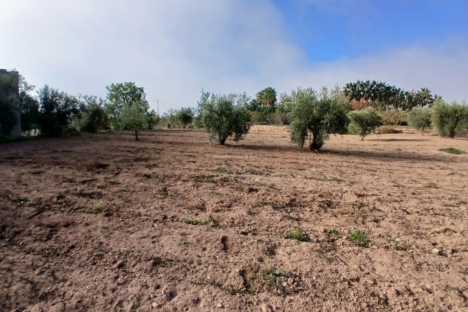 Resale - Country Property/Finca - Jumilla - Inland
