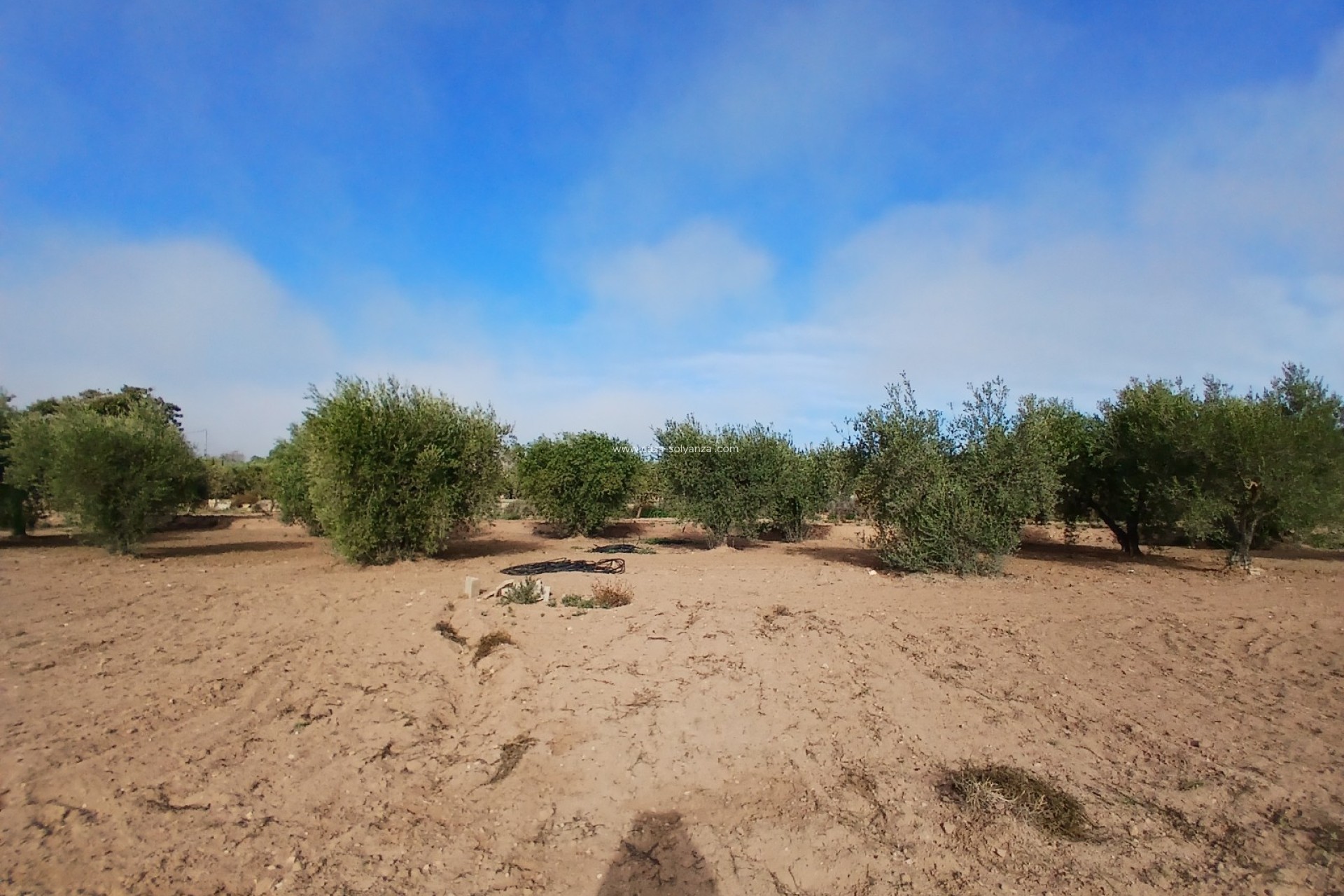 Resale - Country Property/Finca - Jumilla - Inland