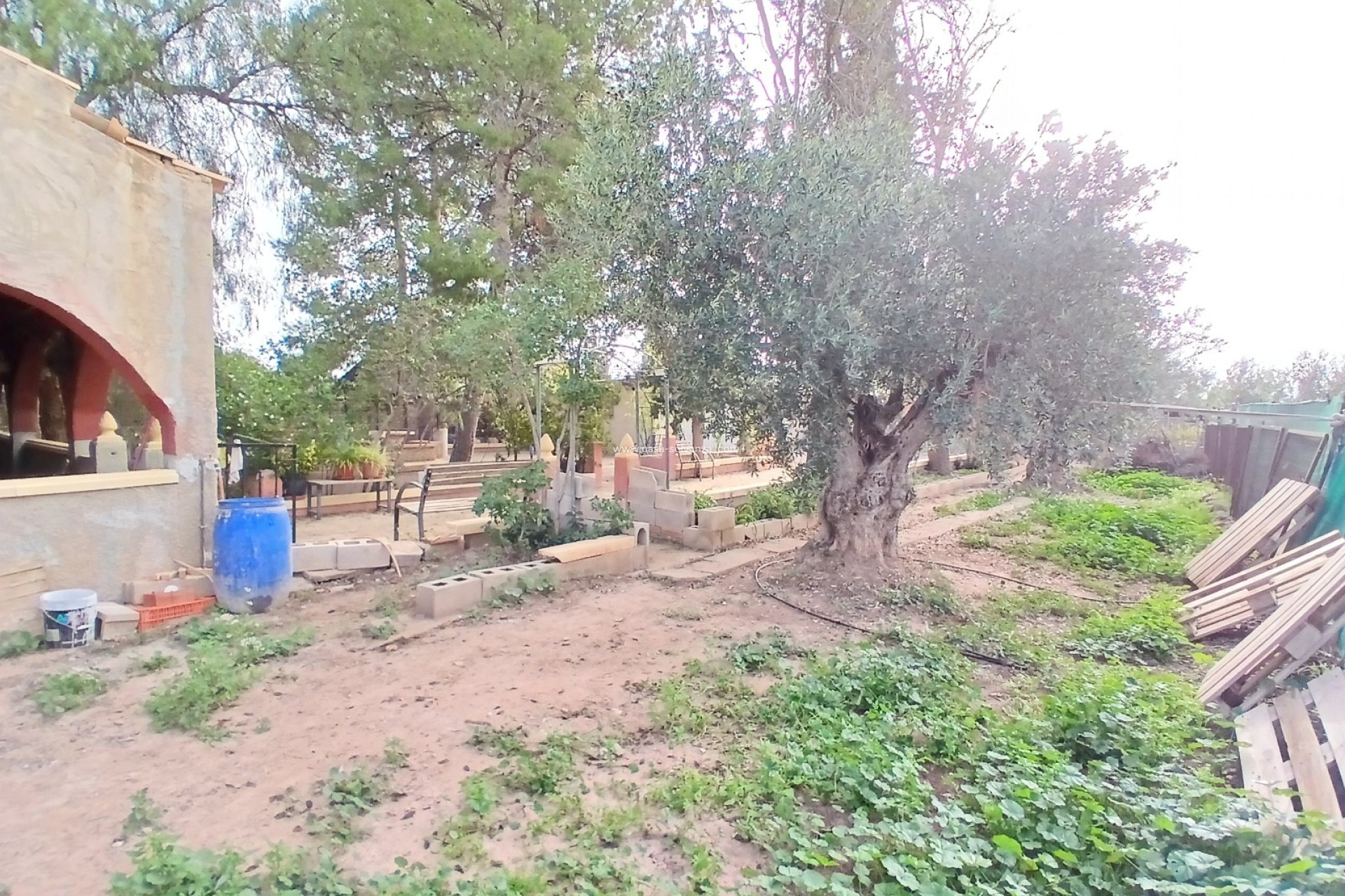 Resale - Country Property/Finca - Jumilla - Inland