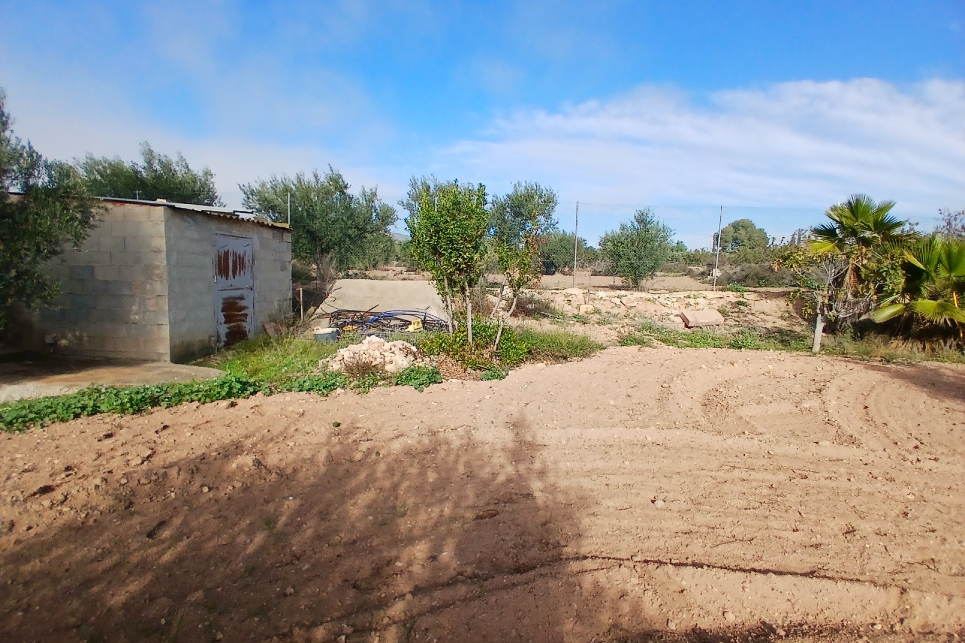 Resale - Country Property/Finca - Jumilla - Inland