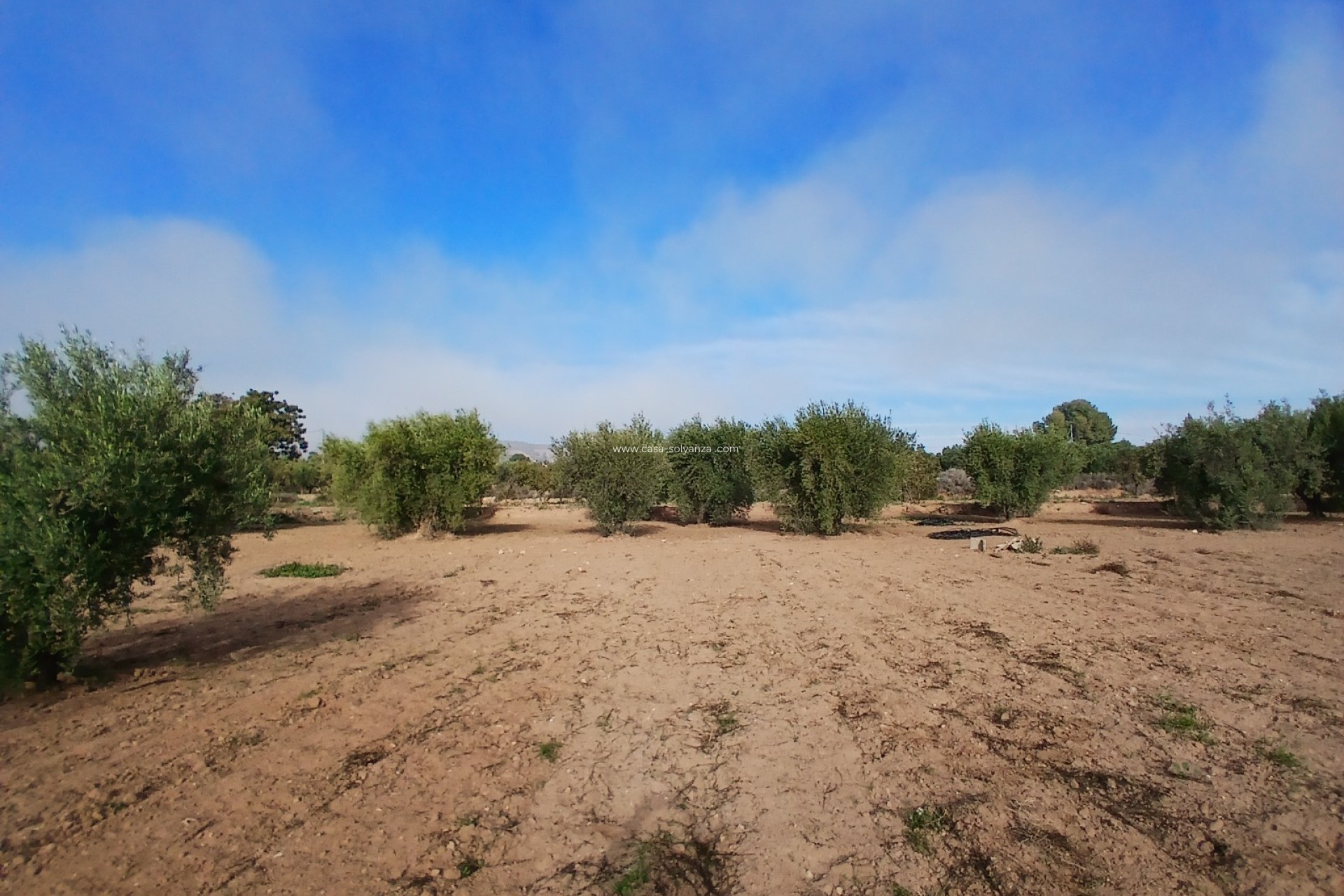 Resale - Country Property/Finca - Jumilla - Inland